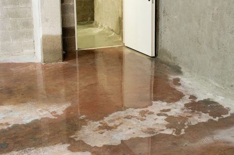 Is Waterproofing a Basement Worth It in Pineville, NC?