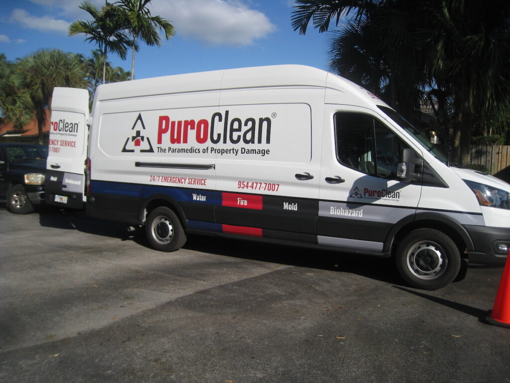 Mold in Plantation