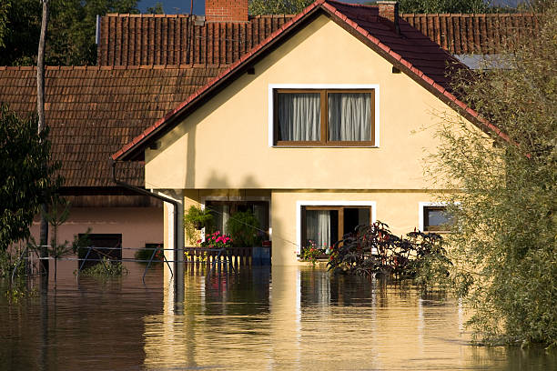 Water Damage Restoration in Wellington