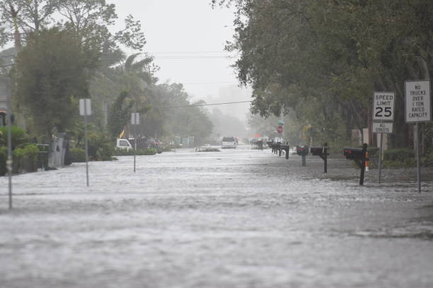 storm prep in Plantation