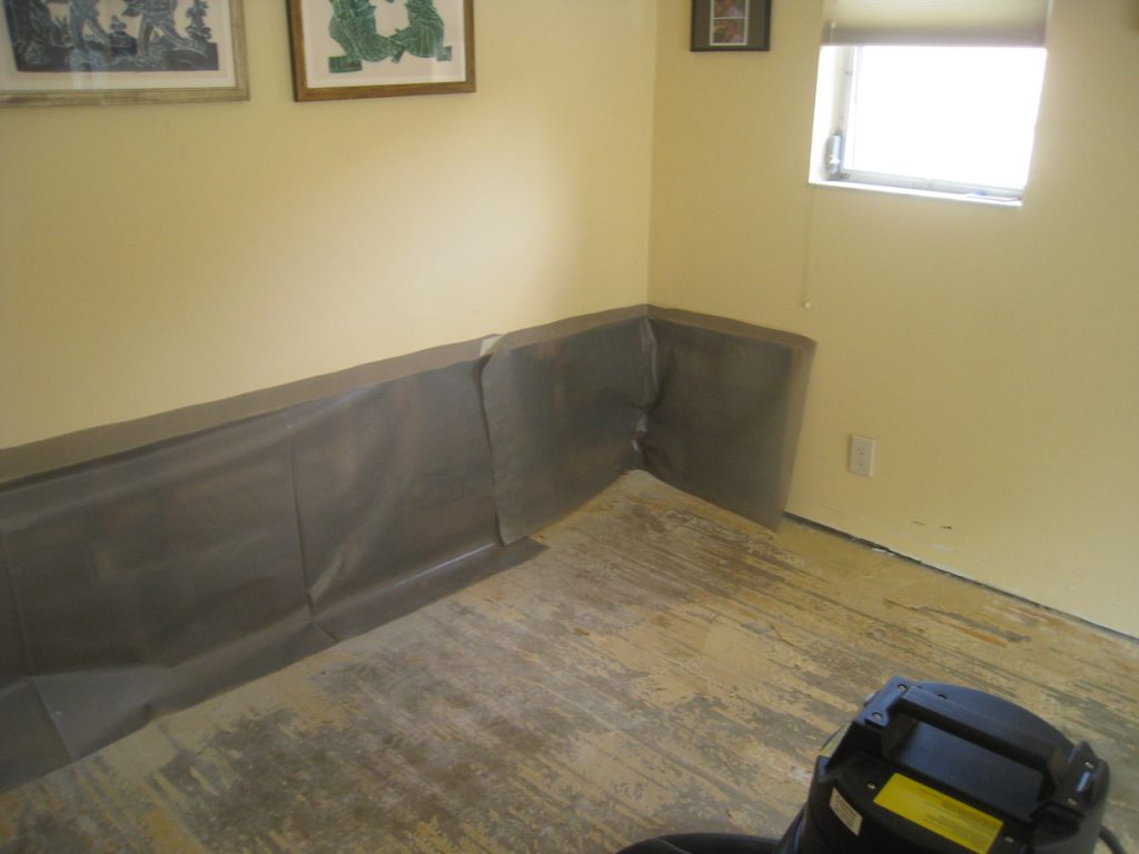 mold in plantation home