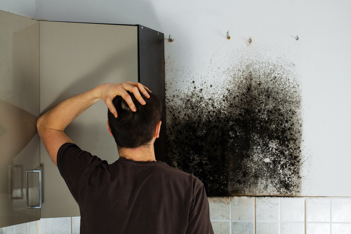 mold in homes