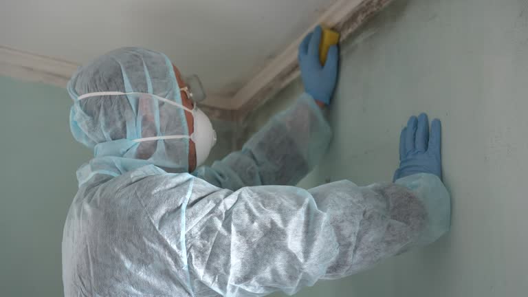 PuroClean of Plantation are Mold Remediation Pros in Plantation