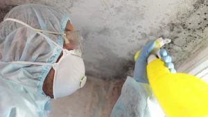 Do I Need Mold Remediation?"