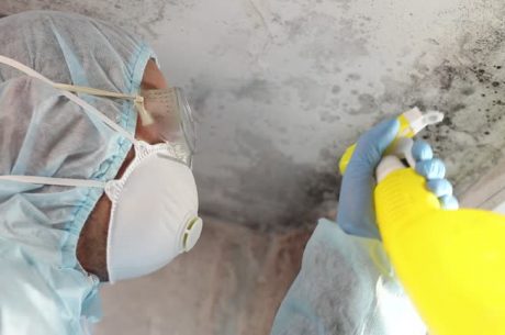 Do I Need Mold Remediation?"