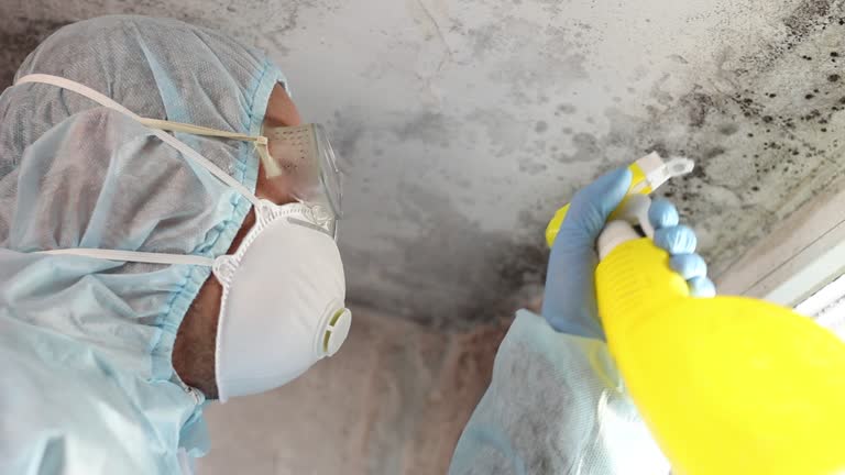 Do I Need Mold Remediation?"