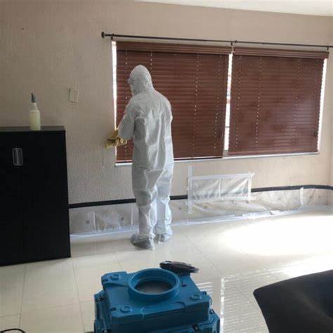 commercial mold restoration in fort lauderdale