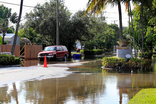 Post Hurricane Mold Remediation in Fort Lauderdale Homes
