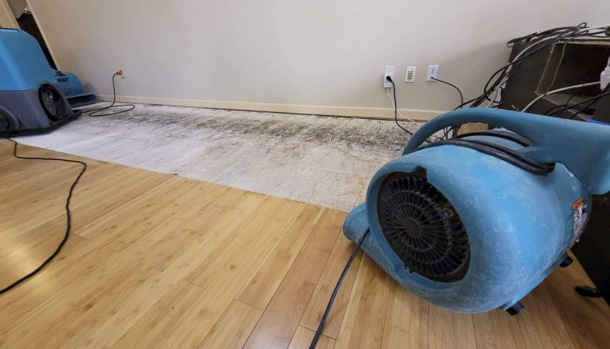 cost of water damage in Plantation