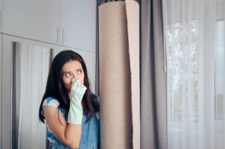 Odor Removal in Plantation