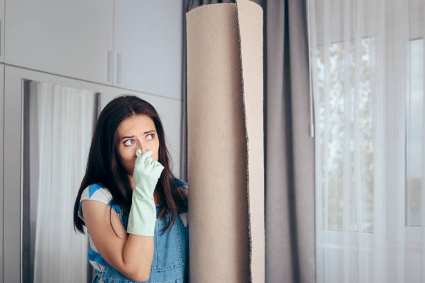 Odor Removal in Plantation