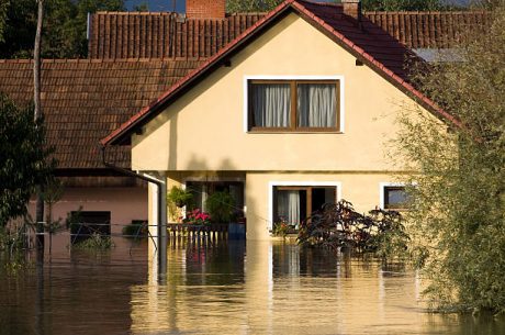 Water Damage Restoration in Wellington