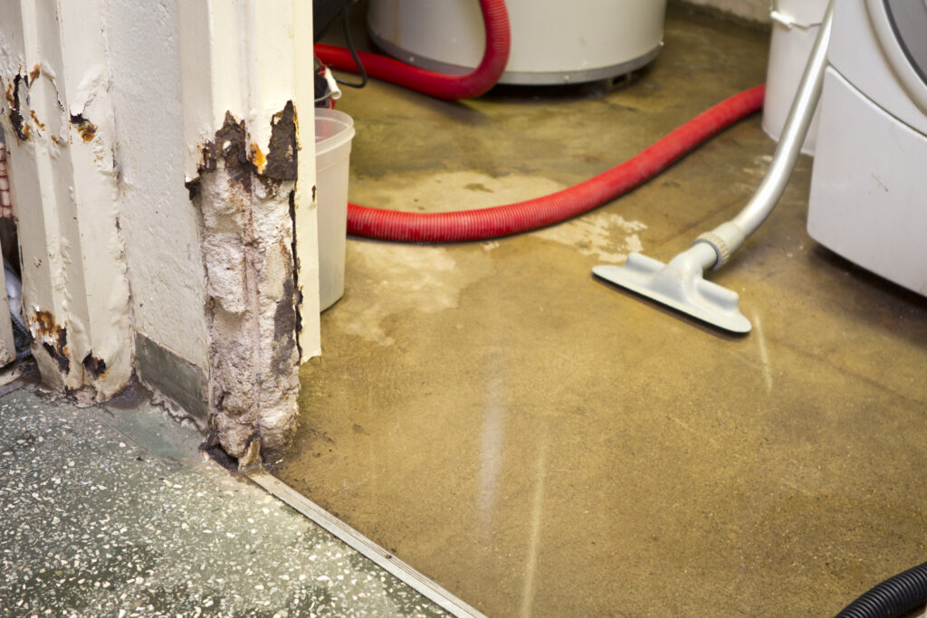 Rapid Relief: Expert Water Extraction in Plantation to Save Your Home from Disaster