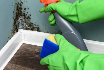 Mold Treatment in Plantation
