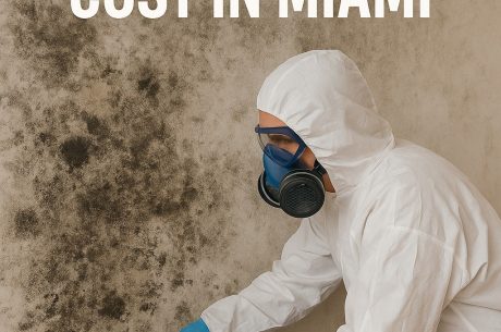 The Real Mold Cleanup Cost in Miami: What Every Homeowner Should Know