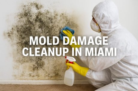 mold damage cleanup in Miami