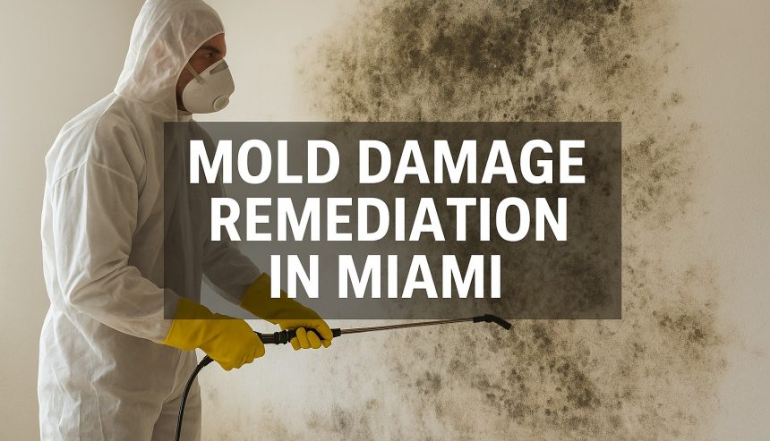 mold damage remediation in Miami