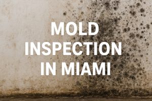 mold inspection in Miami