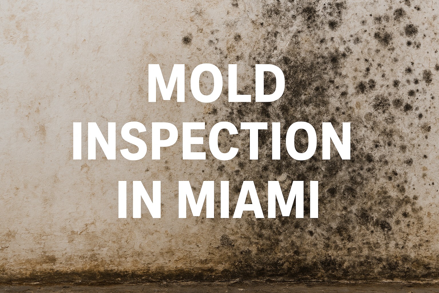 Protect Your Health & Home: Expert Mold Inspection in Miami You Can Trust