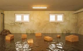 Basement Water Cleanup in Plantation Florida 1