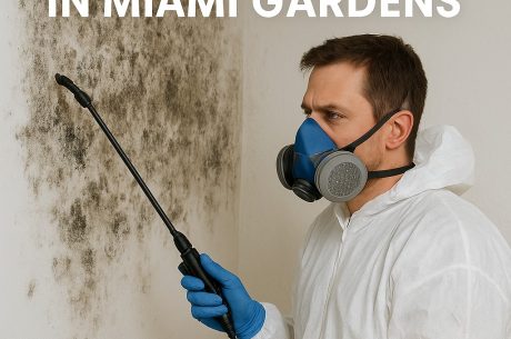 Mold Removal in Miami Gardens