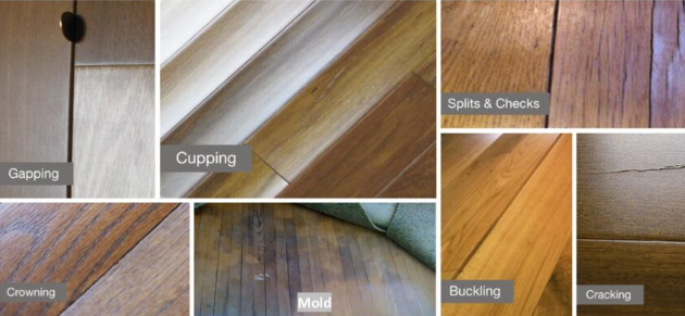 emergency water extraction services before and after water damage Plantation FL professional restoration
