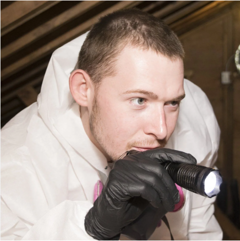 mold inspection cost Florida professional assessor testing wall moisture