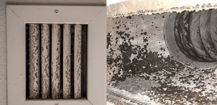 Visible mold inside HVAC duct requiring professional HVAC mold contamination cleanup in Plantation FL