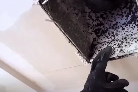 HVAC Mold Contamination Cleanup: 5 Vital Steps That Actually Work in South Florida