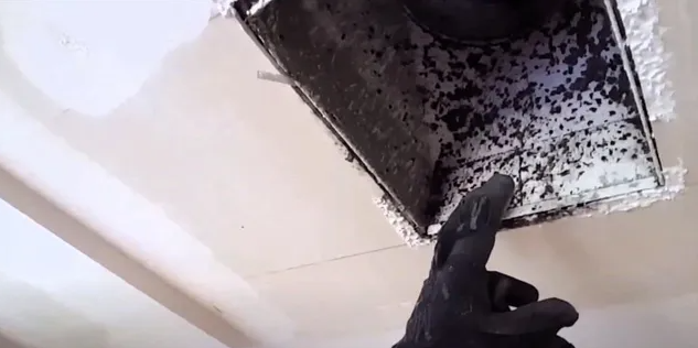 HVAC mold contamination cleanup process inside South Florida residential duct system