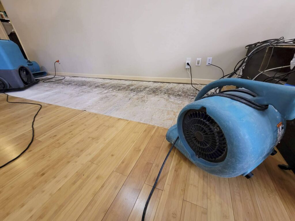 cost of water damage in Plantation