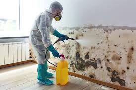 Residential mold remediation Plantation FL