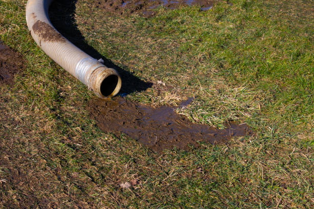 The Process - Sewage Cleanup in Miami