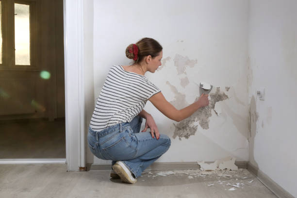 Signs You Need Water Removal Service in Palm Beach
