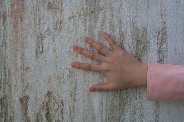 Close up hand touching visible Signs of Hidden Mold After a Storm in Miami