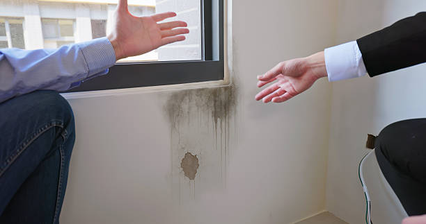 Protect Your Property Long-Term against Signs of hidden mold after a storm in Palm Beach