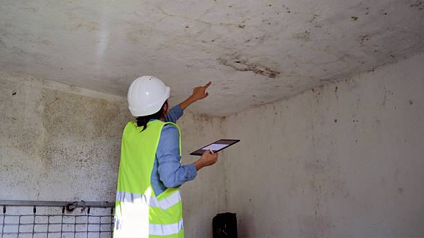 8 Signs of Hidden Mold After a Storm in Plantation