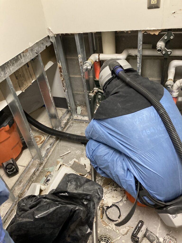 mold removal in North Wales PA