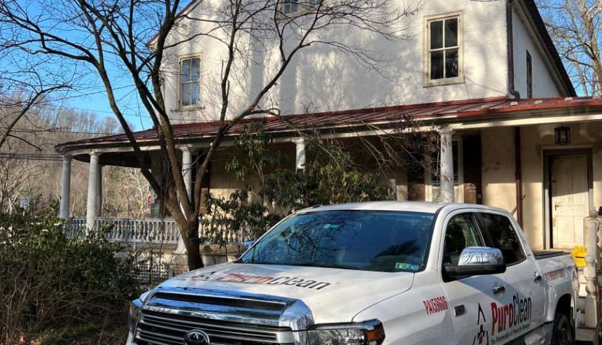 Mold Remediation in Collegeville