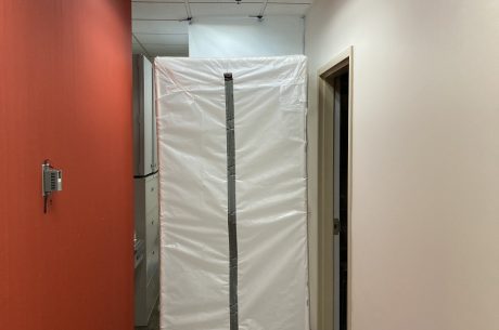 Mold Season