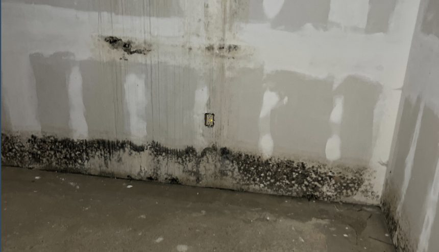 mold or water emergency