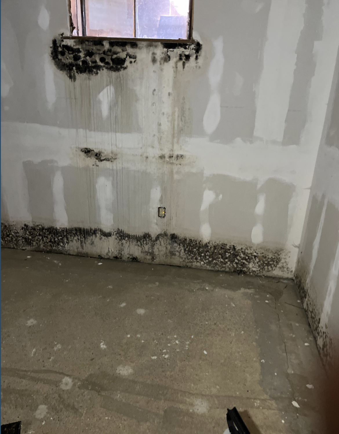 Facing a Mold or Water Damage Emergency in PA as a Tenant? Your Essential Guide to Rights, Resources, and Recovery