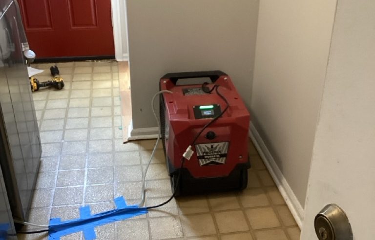 mold remediation removal Hire Water Damage Restoration Service Mold Remediation and Removal: Process and Cost