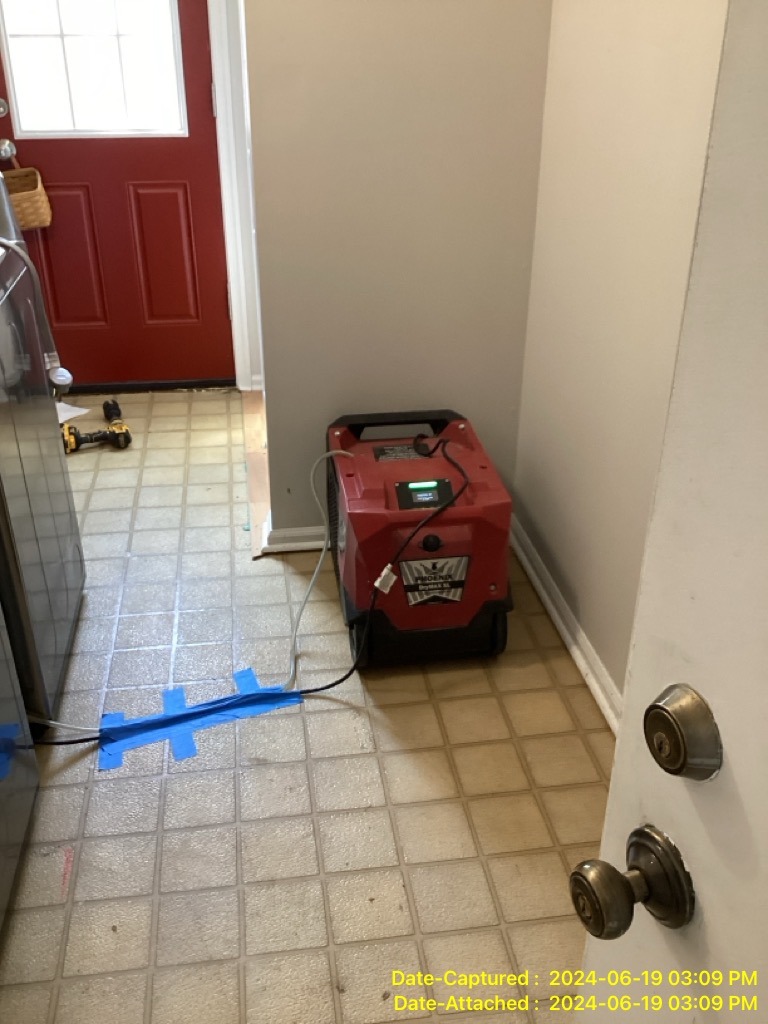 Mold Remediation and Removal: Process and Cost