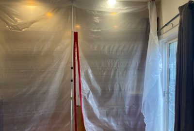 Mold Season
