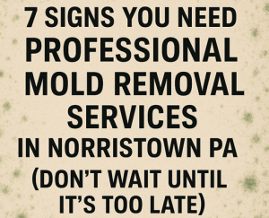 7 Signs You Need Professional Mold Removal Services in Norristown PA (Don't Wait Until It's Too Late)