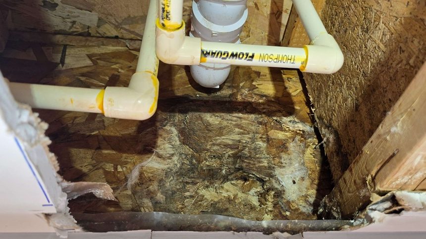 mold under bathroom