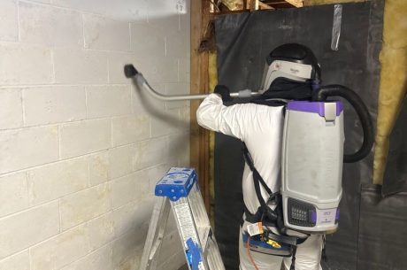 Complete Guide to Basement Mold Removal Costs in Plymouth Meeting, PA
