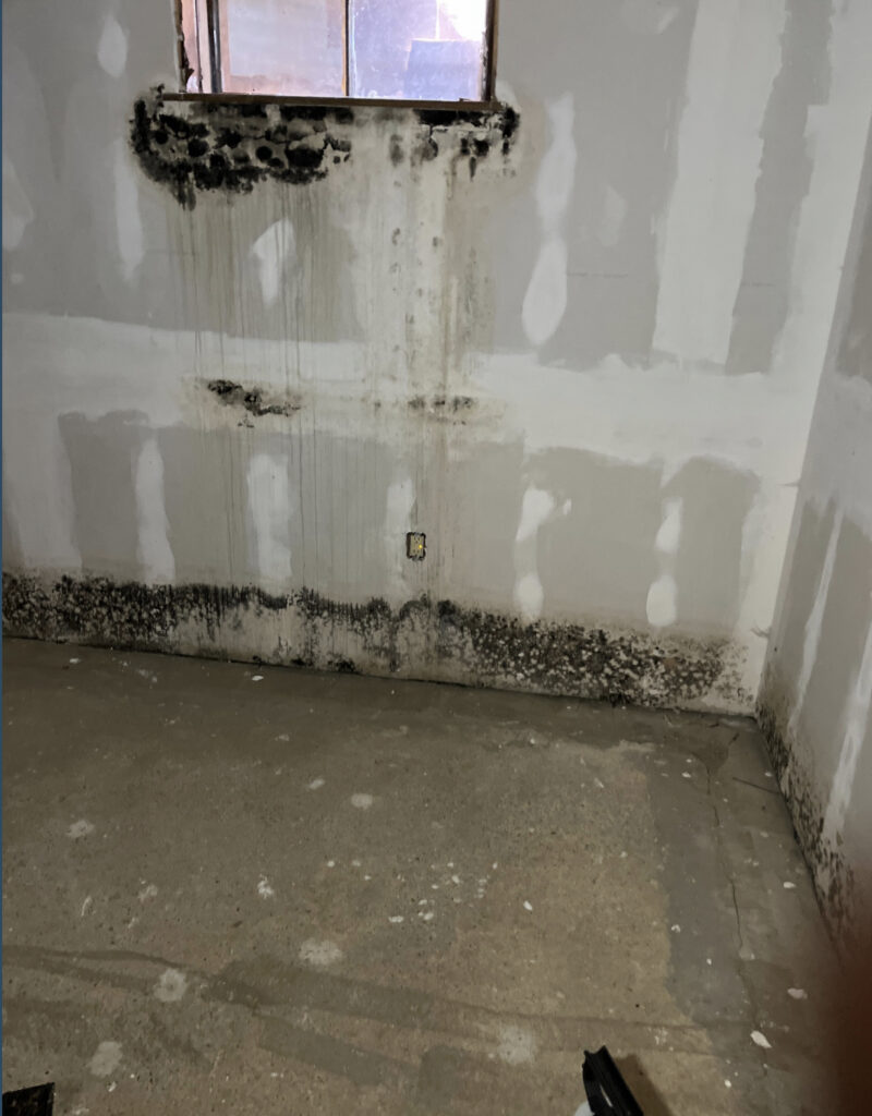 mold or water emergency