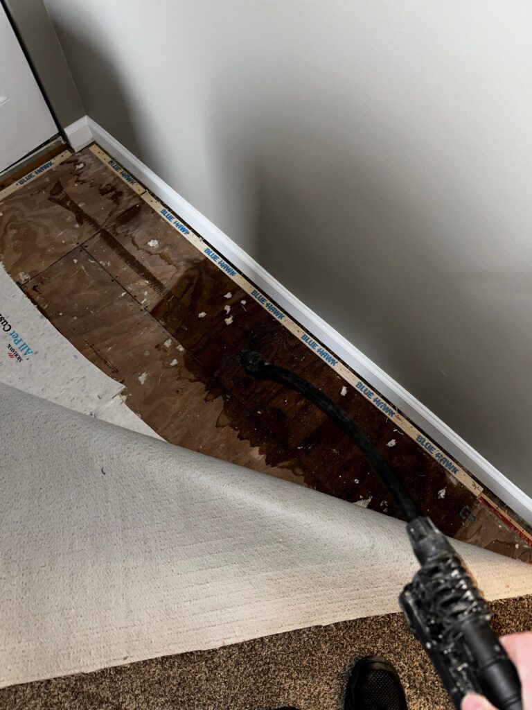 Water Damage in Your Home 
